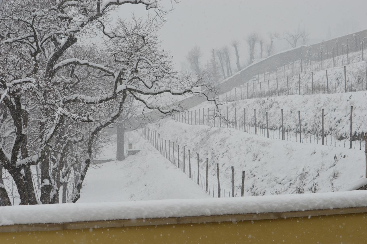 Villa Biondelli Wine & Suites Cazzago San Martino Exterior photo
